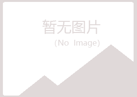 鹤山区旧梦水泥有限公司